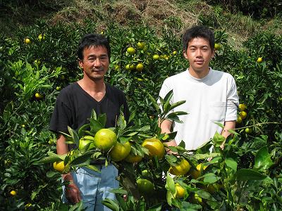 株式会社土実樹農園 温州みかん