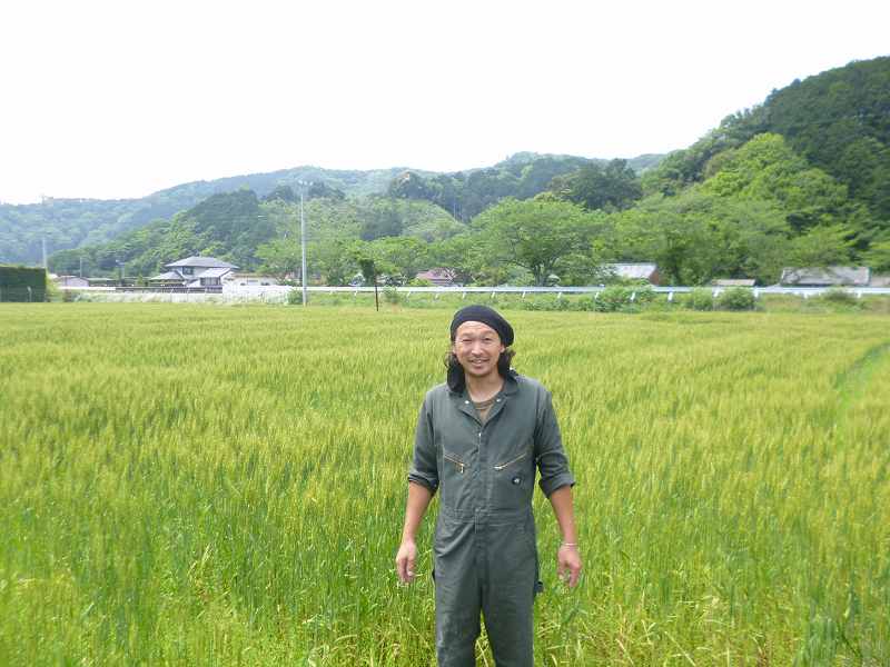 島田　大輔 小麦