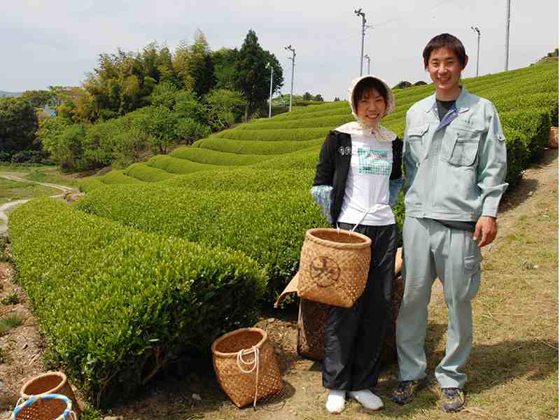 有限会社　中森製茶 茶