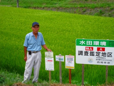 西尾　幸彦 水稲