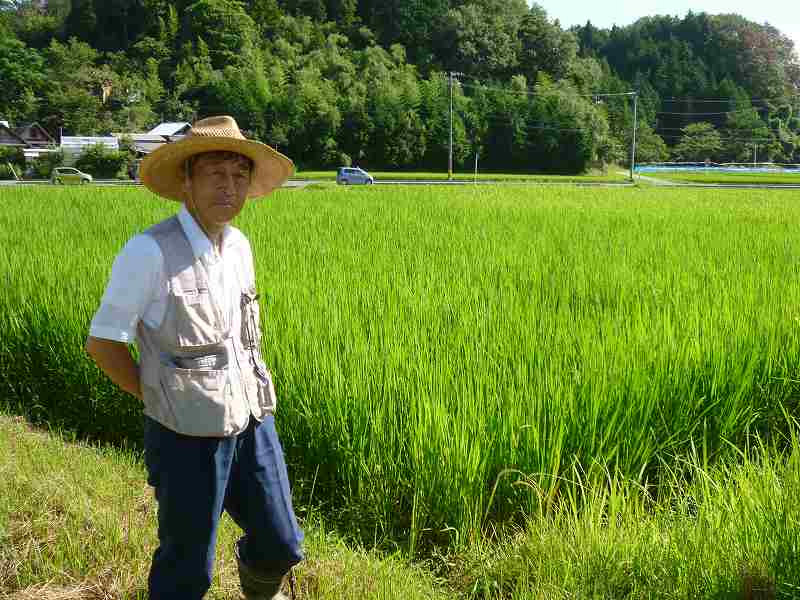 松山　隆治 水稲