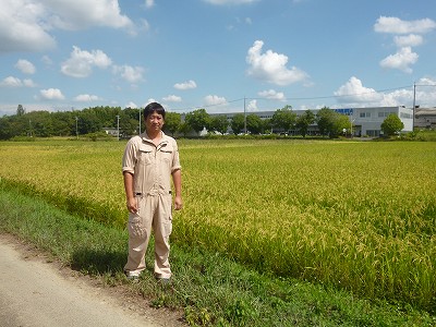 株式会社ゆめ田んぼ 水稲