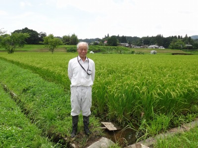 小林　行雄 水稲