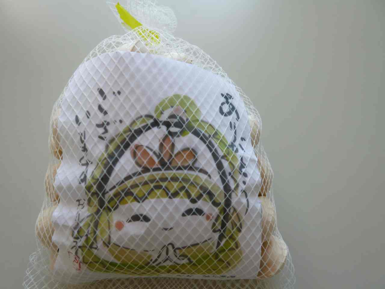 榮井　功 いちょう（種子）
