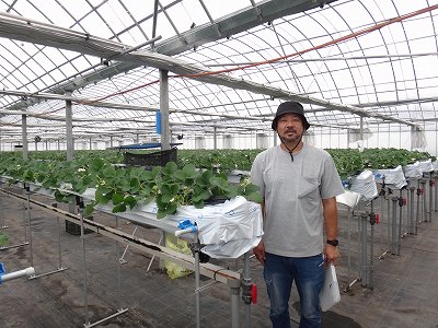 アオイチゴ/津田　彰史 いちご