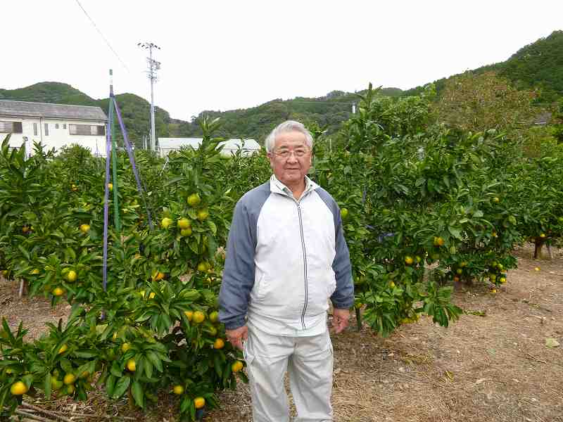 野呂　親秀 温州みかん