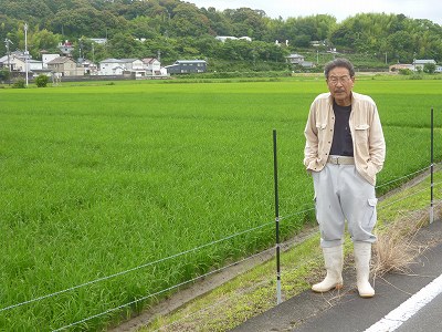 上前田　定 水稲
